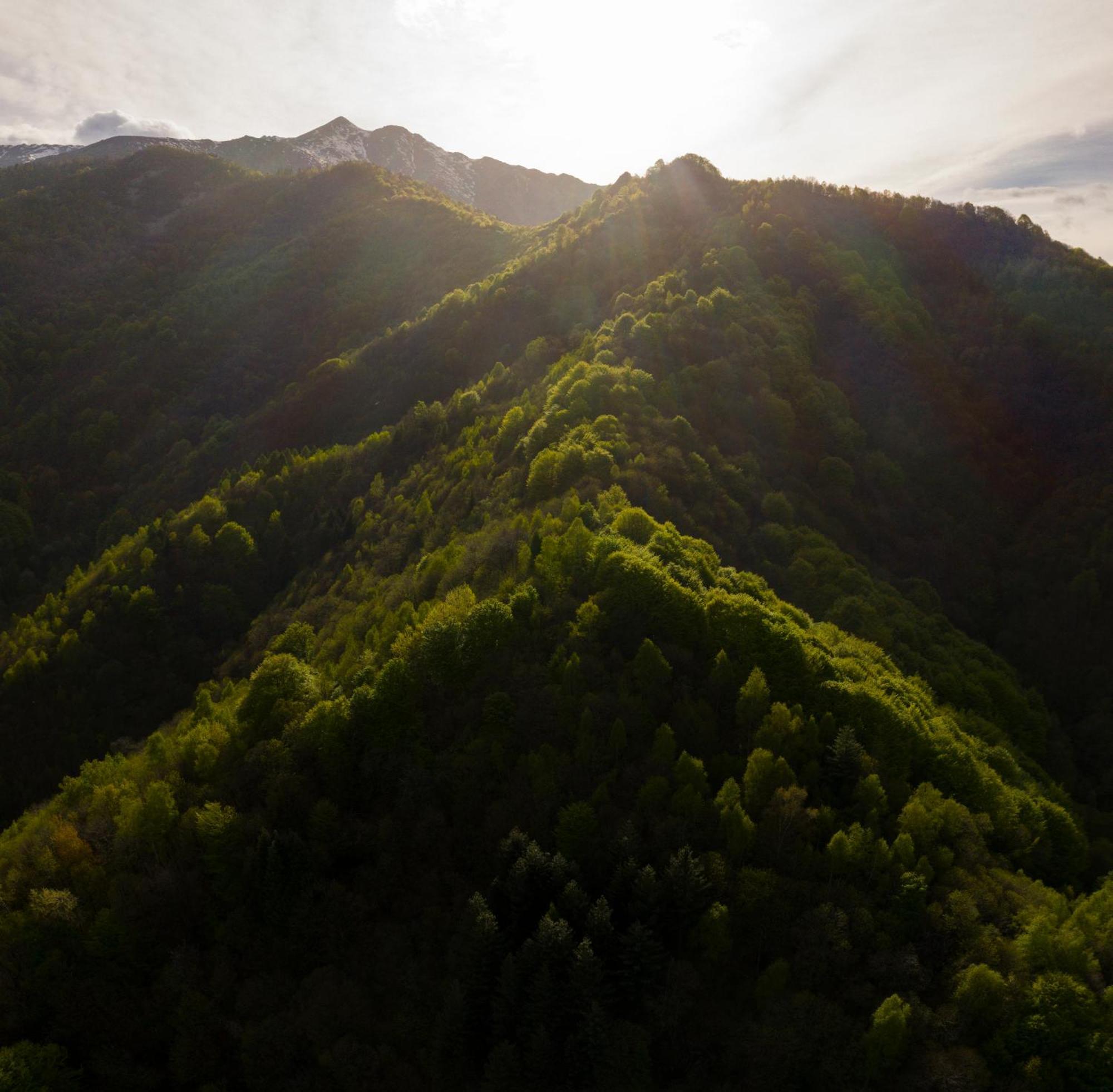 Chiusa di PesioIduevagamondi - Ospitalita Rurale Famigliare Di Montagna住宿加早餐旅馆 外观 照片