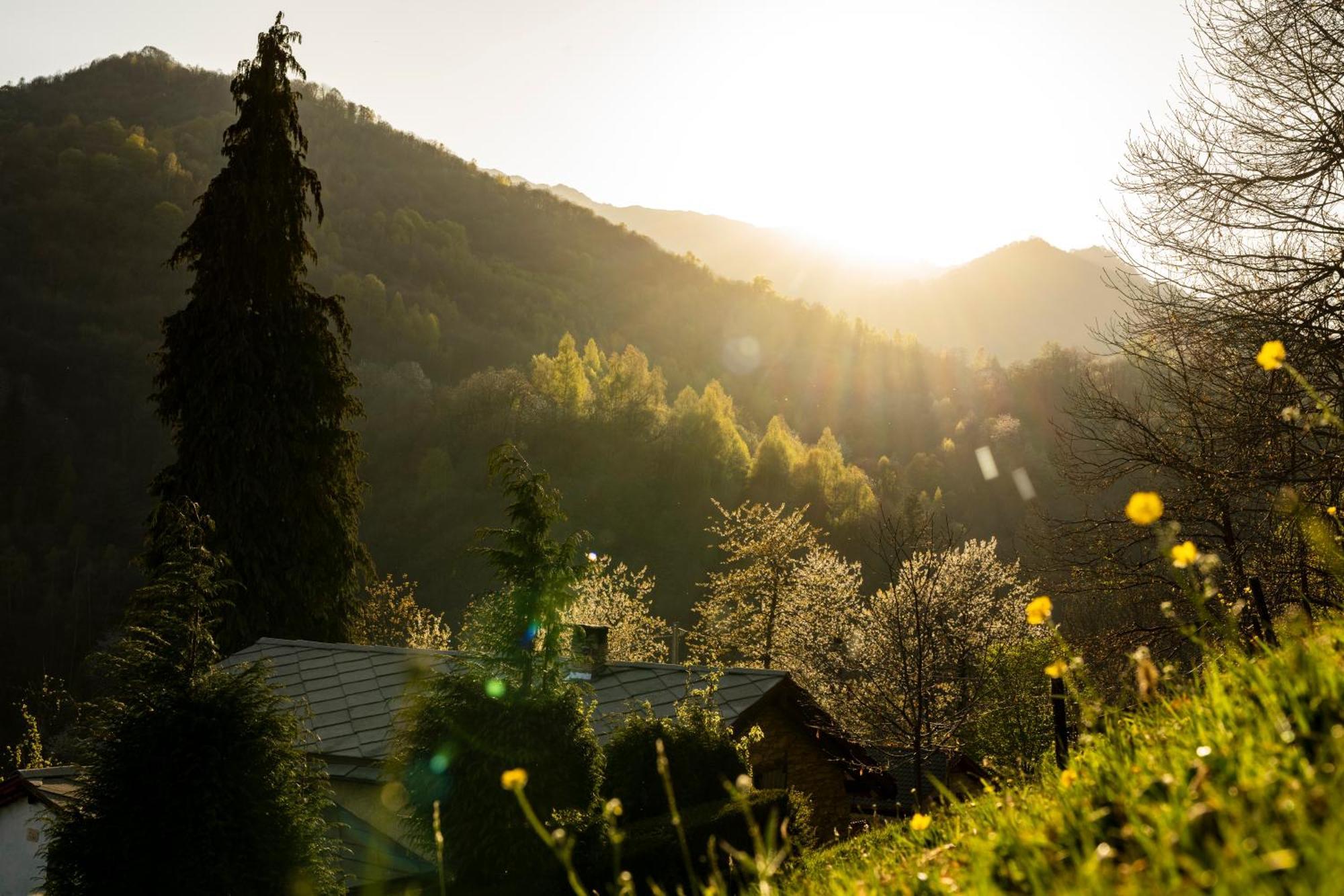 Chiusa di PesioIduevagamondi - Ospitalita Rurale Famigliare Di Montagna住宿加早餐旅馆 外观 照片